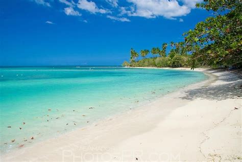 tripadvisor puerto rico